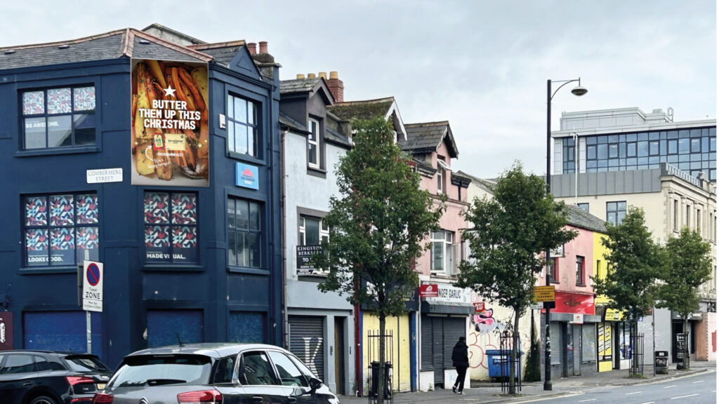 Donegall Road Screen